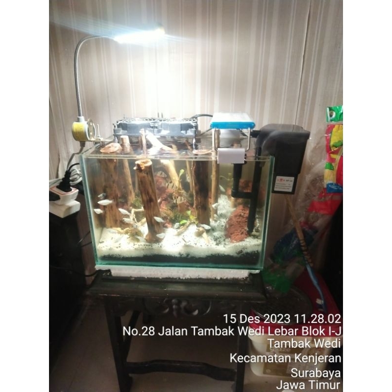aquascape tema hutan full set
