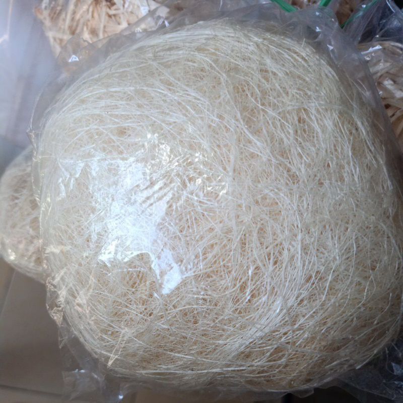 Serat nanas - Sarang Burung Kenari