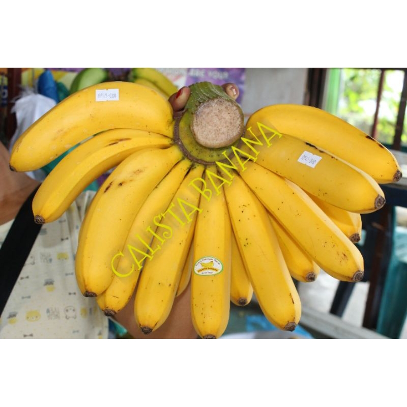 

BARANGAN FRESH SUPER 1 SISIR UKURAN 3KG