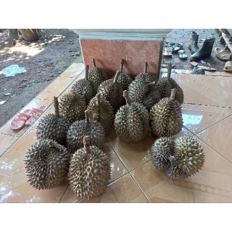 

Durian Bawor Banyumas