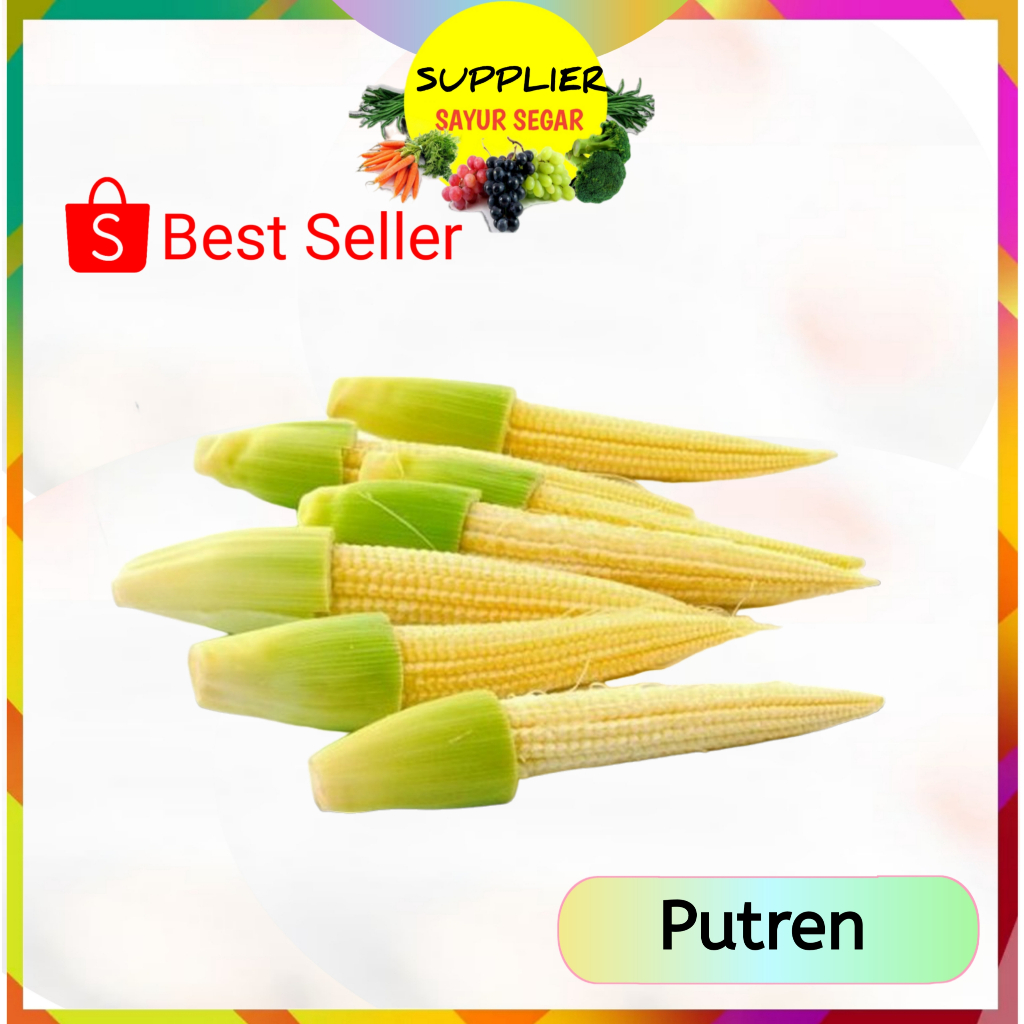 

Jagung Kecil Muda Putren - Supplier Sayur Sayuran Mayur Segar Online Palembang