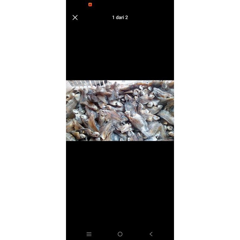 

ikan kering sepat dan puyau