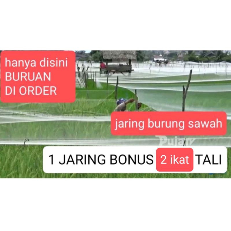 JARING BURUNG JARING PADI JARING EMPRIT JARING SAWAH 7,5 x 90 METER JEBAKAN PERANGKAP BURUNG JARING3