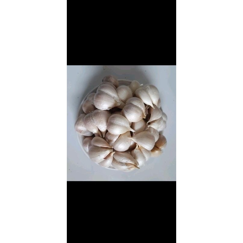 

bawang putih