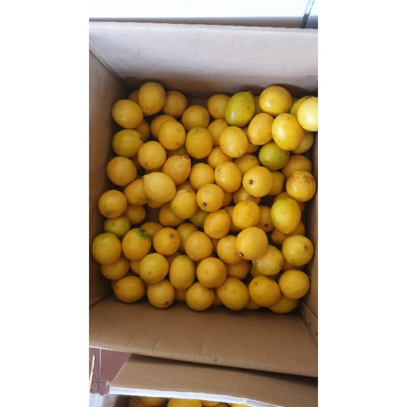 

Lemon California fresh per 1kg