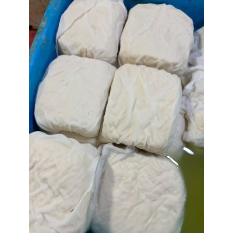 

Tahu putih kain 1pcs fresh