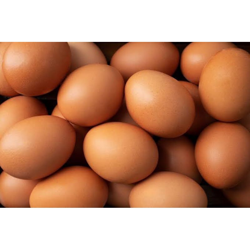 

Telur Ayam 1 kg
