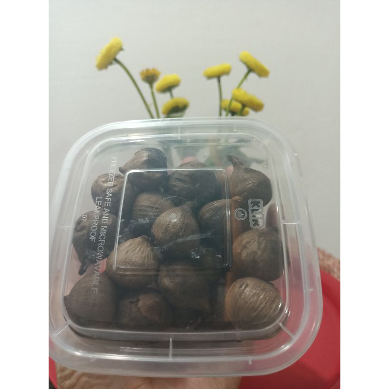 

bawang hitam tunggal