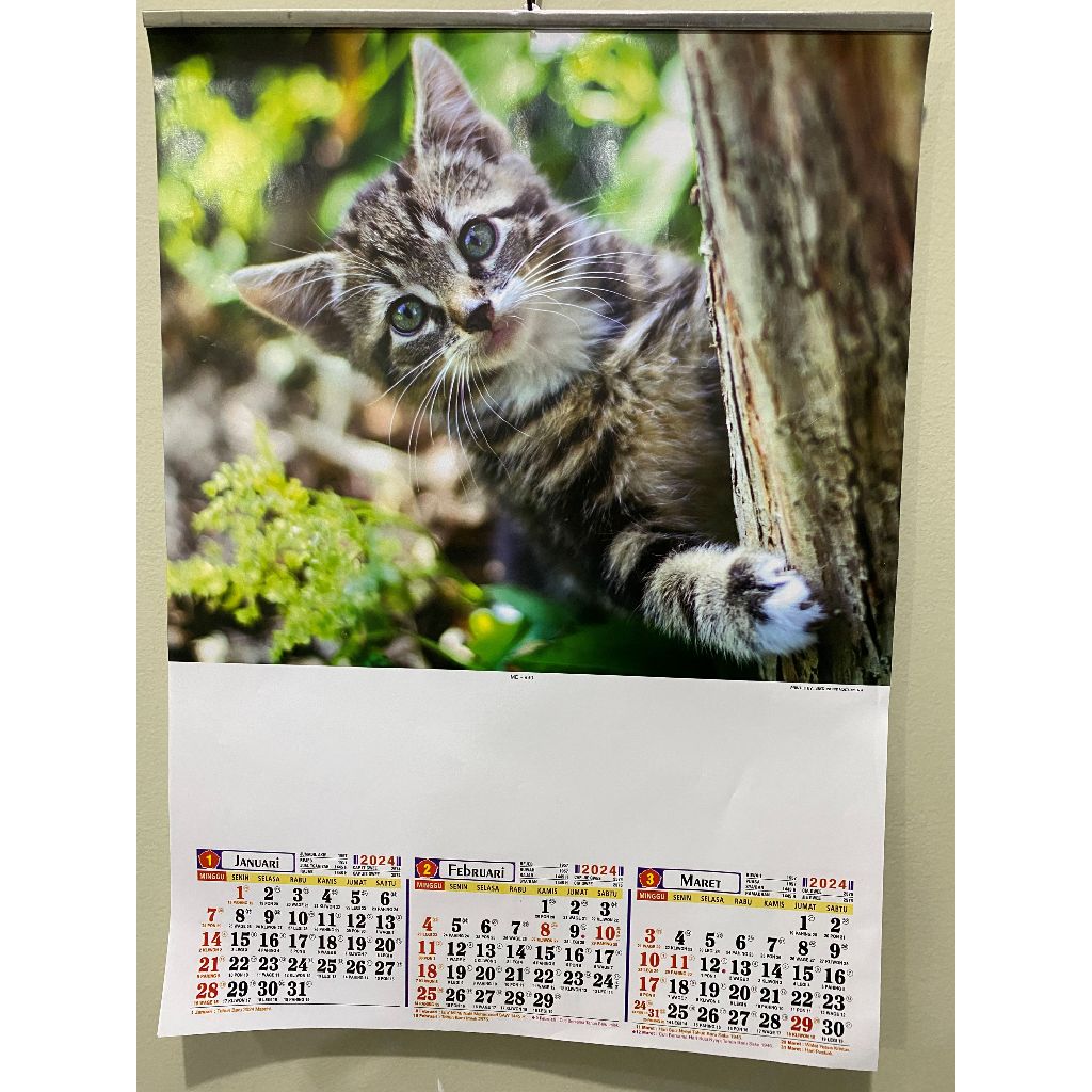 KALENDER 2024 TRIWULAN 4 LEMBAR GAMBAR KUCING MD 930