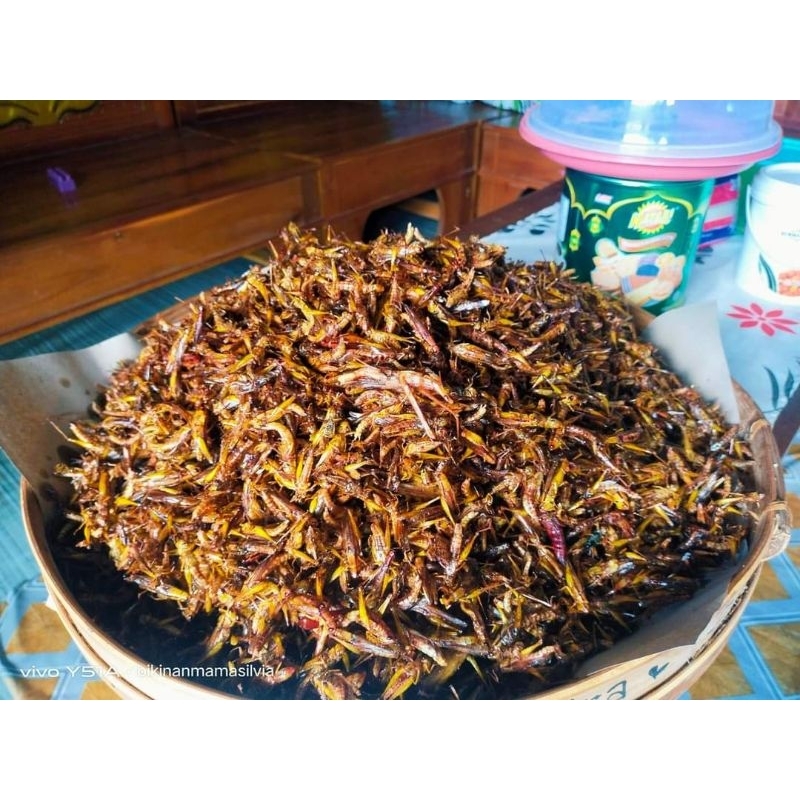 

Piscoklegit_ Belalang Goreng Utis Aneka Varian Rasa Gurih, Pedas Gurih, Pedas Manis, Manis