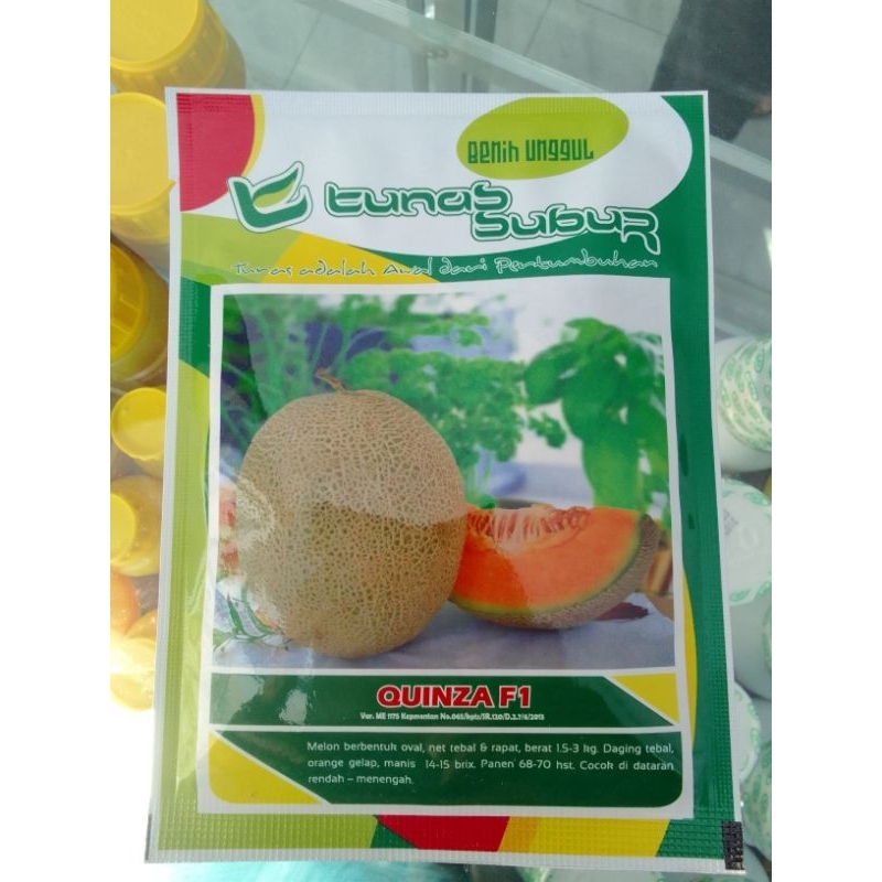 Benih Melon Quinza f1