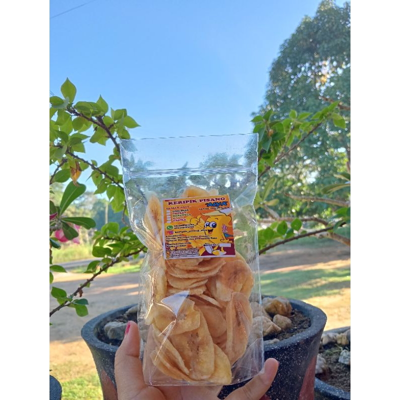 

keripik pisang alya "varian rasa"/500gr