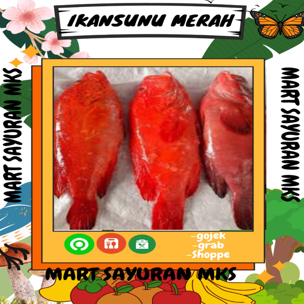 

Ikan Sunu Merah 1kg