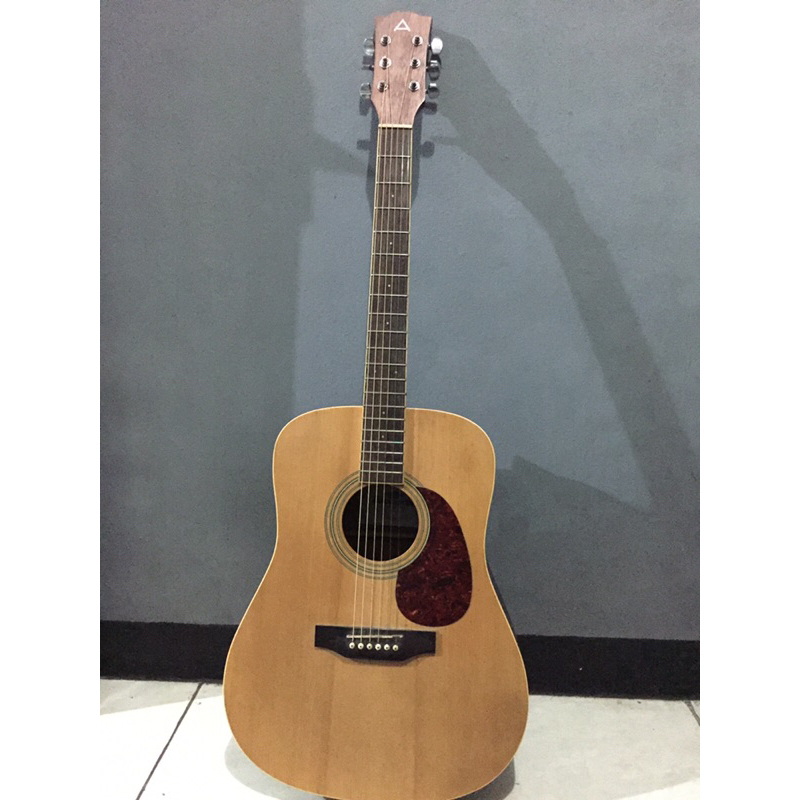 Gitar Anderson AFE-12-N