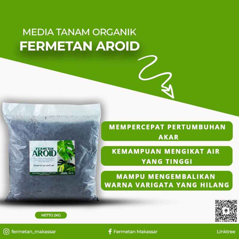 Fermetan Aroid media tanam aglonema