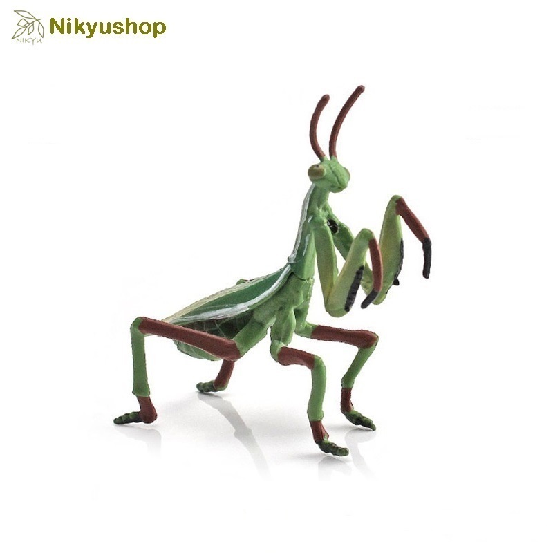 [Nikyushop] Mainan Edukasi Pajangan Hewan Serangga Animal Insect Belalang Sembah Praying Mantis