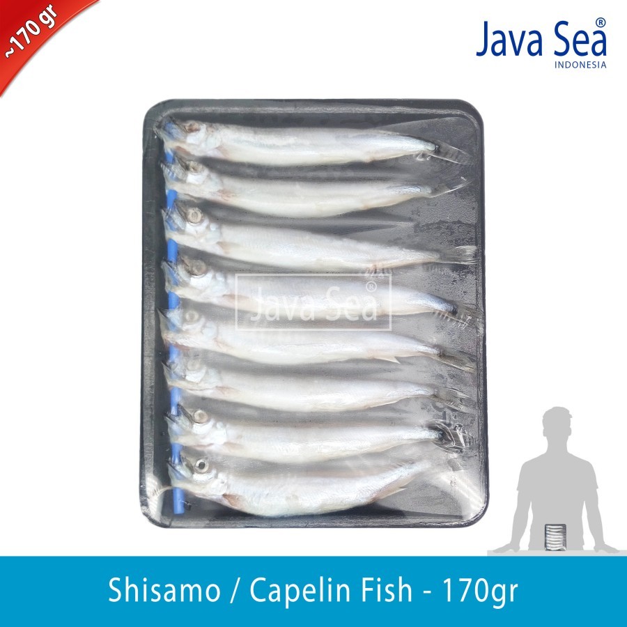 

Ikan Shisamo / Chappelin Fish 170 gr