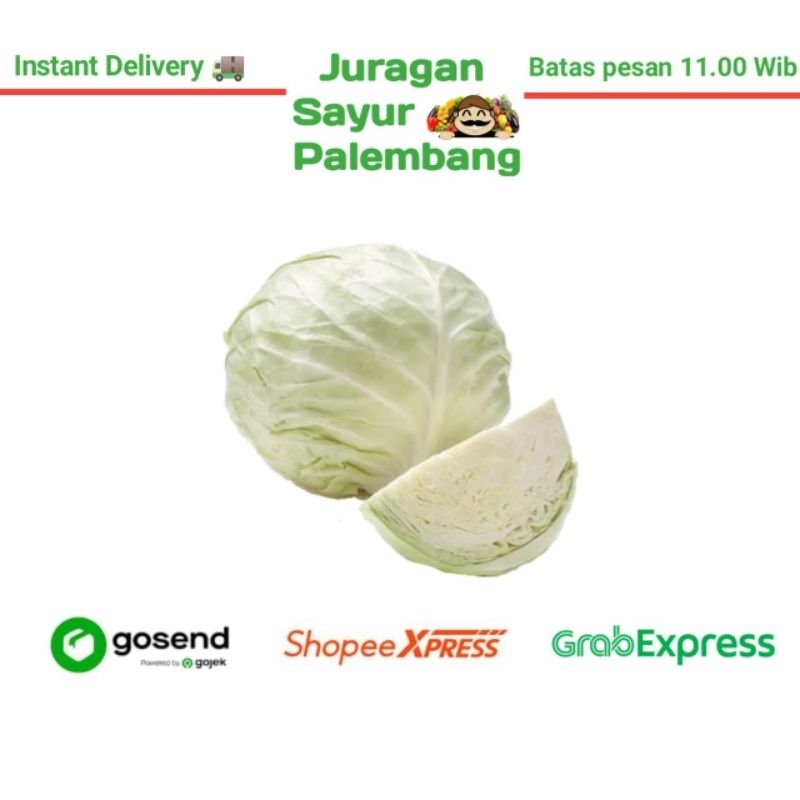 

Sayur Kubis - Juragan Sayur Palembang