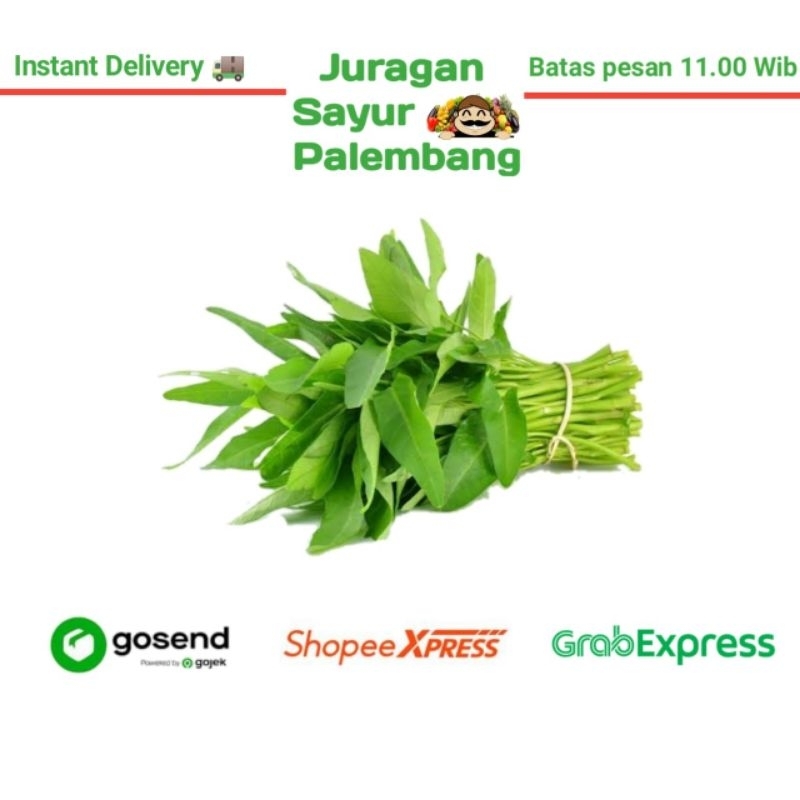

Sayur Kangkung 1 Ikat - Juragan Sayur Palembang
