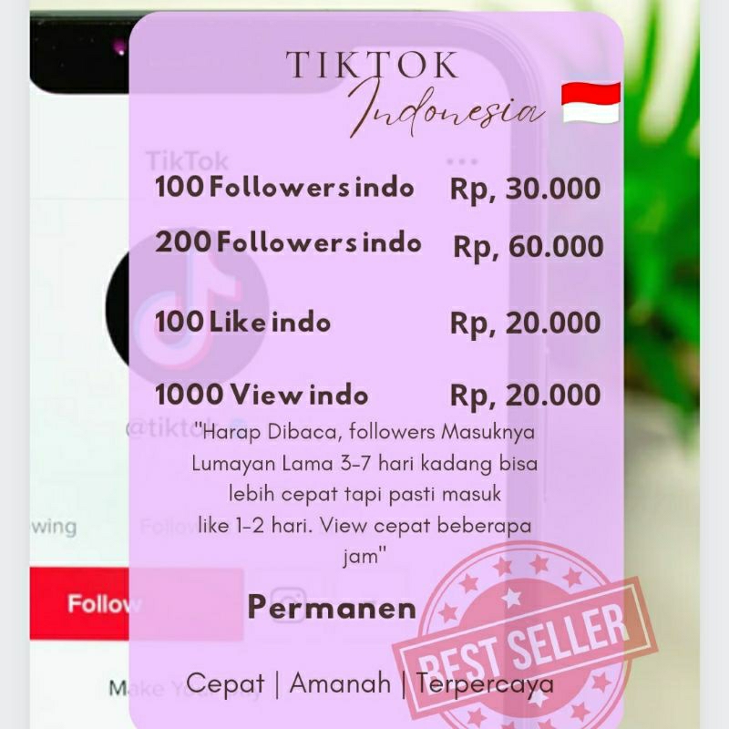 TIKTOK INDONESIA FOLLOWER LIKE VIEW GARANSI