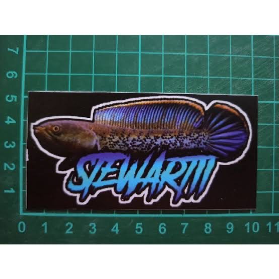 

sticker stewarti live mouglifish