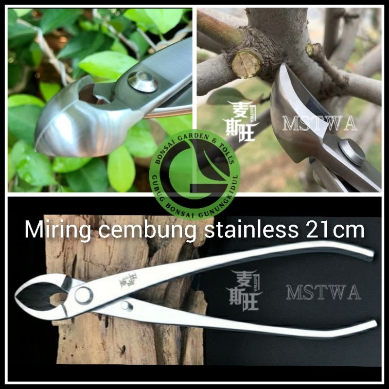Catok bonsai MIRING CEMBUNG stainless MAXWAN