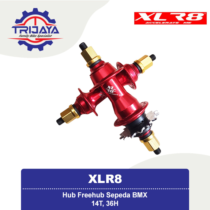 Hub Freehub XLR8 BMX 14T 36 Hole Single Speed - Hub Freehub Sepeda BMX