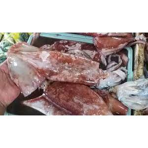 

CUMI BESAR FRESH _ 1KG