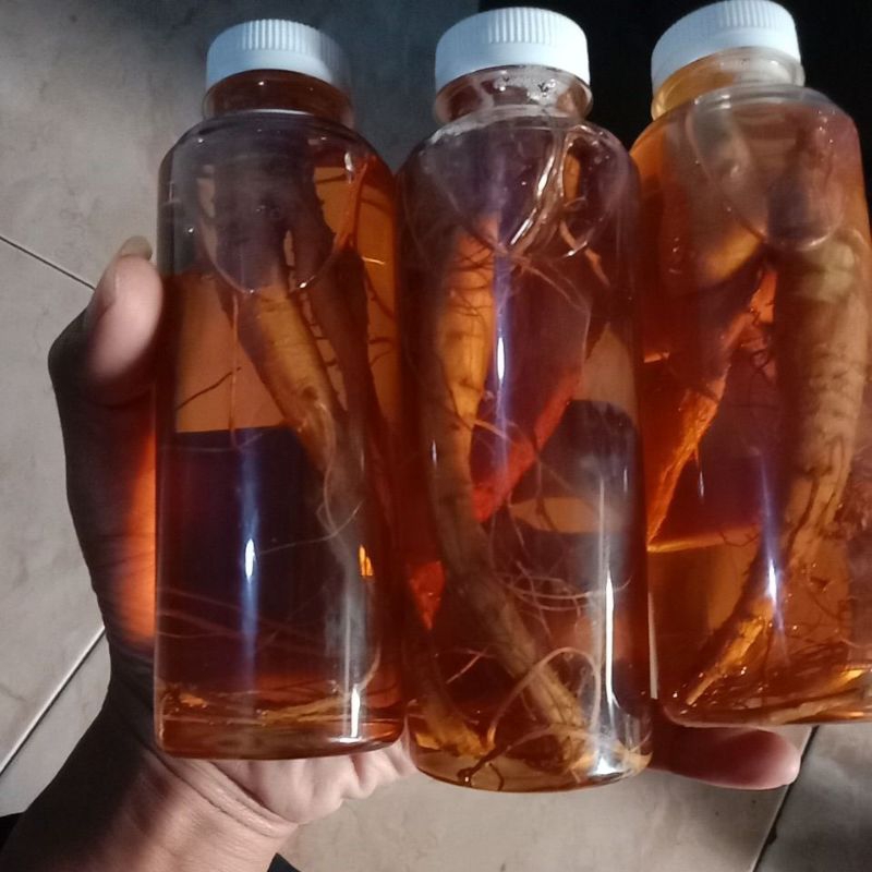 

fementasi ginseng merah korea+ madu250