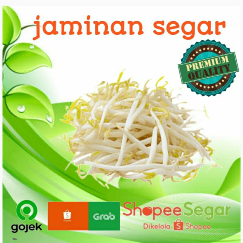 

toge jepang