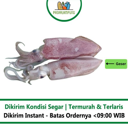 

Cumi Cumi Segar Pasar Lampung