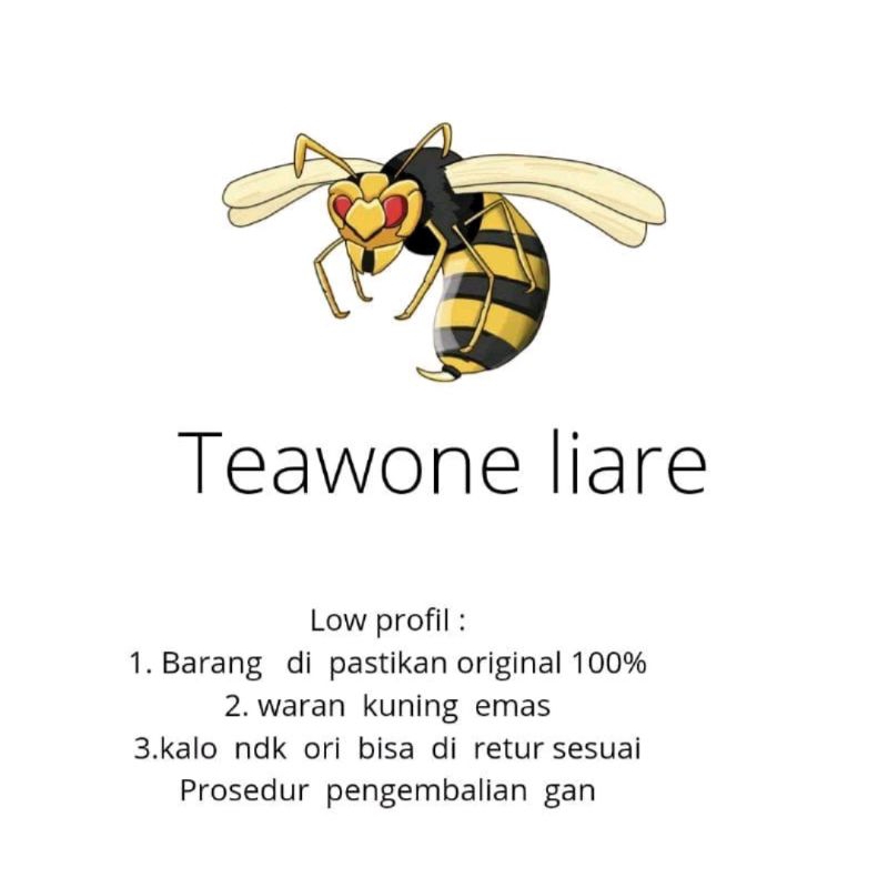 

sampul TWLOlinshop19