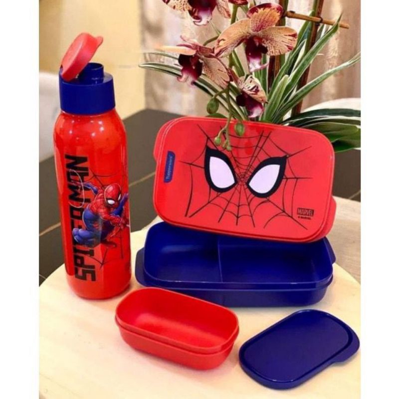 Tupperware tempat bekal spiderman