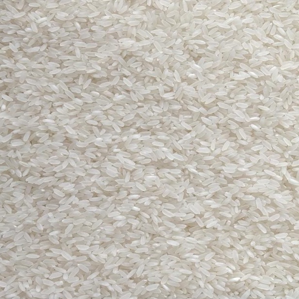 

MODEL EU446 PERA SUPER TERMURAH UNTUK NASI GORENG NASI PADANG KETUPAT LONTONG PER LITER DAN PER KILO