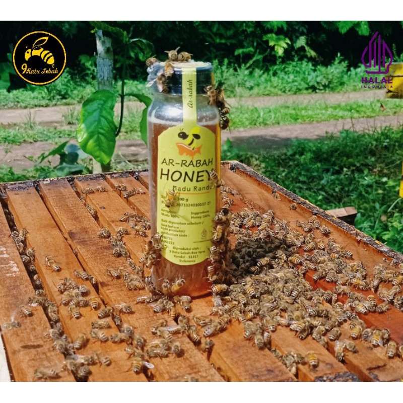 

Madu Murni Tanpa Olahan & Campuran|100% Alami 300g