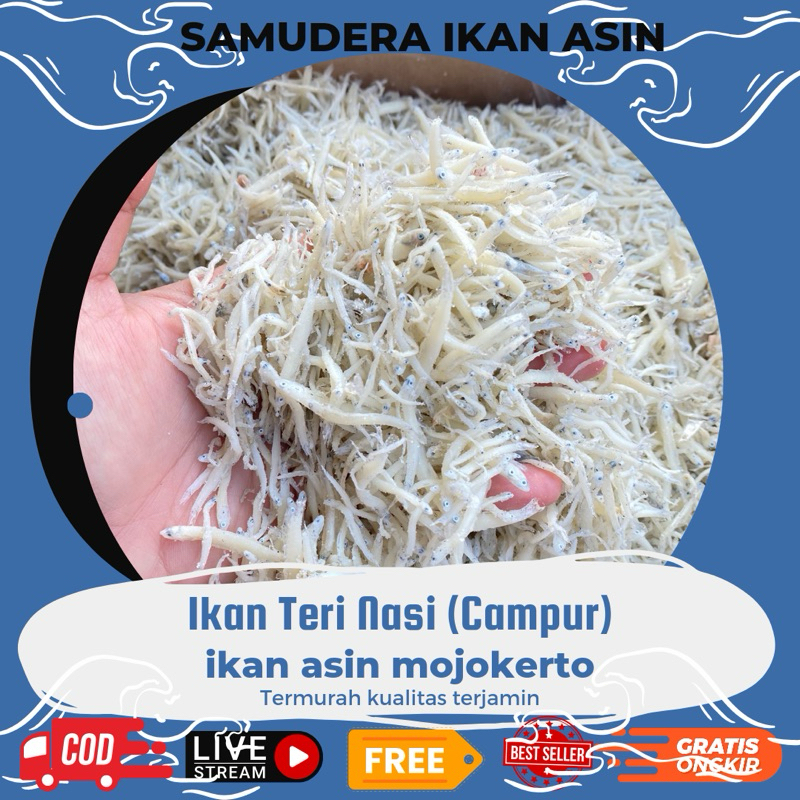 

Ikan Teri Medan asin 100gr Murah & Kualitas Terbaik