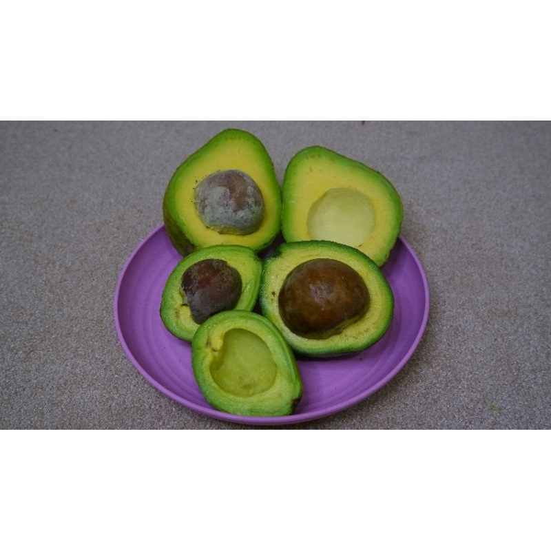 

alpukat mentega medium quality 1kg isi 3-4