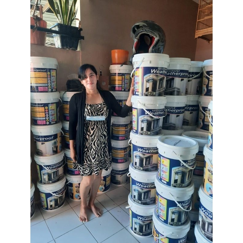 cat tembok melpaint weatherproof 1pail 20kg original