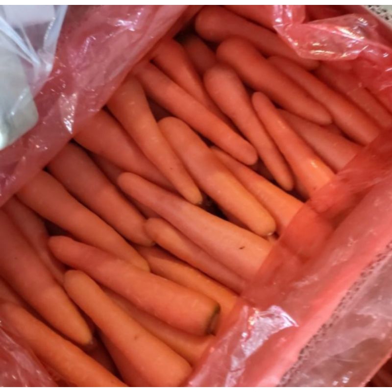 

Wortel Berastagi (1pack 500gr)