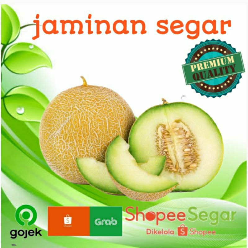 

melon perbuah
