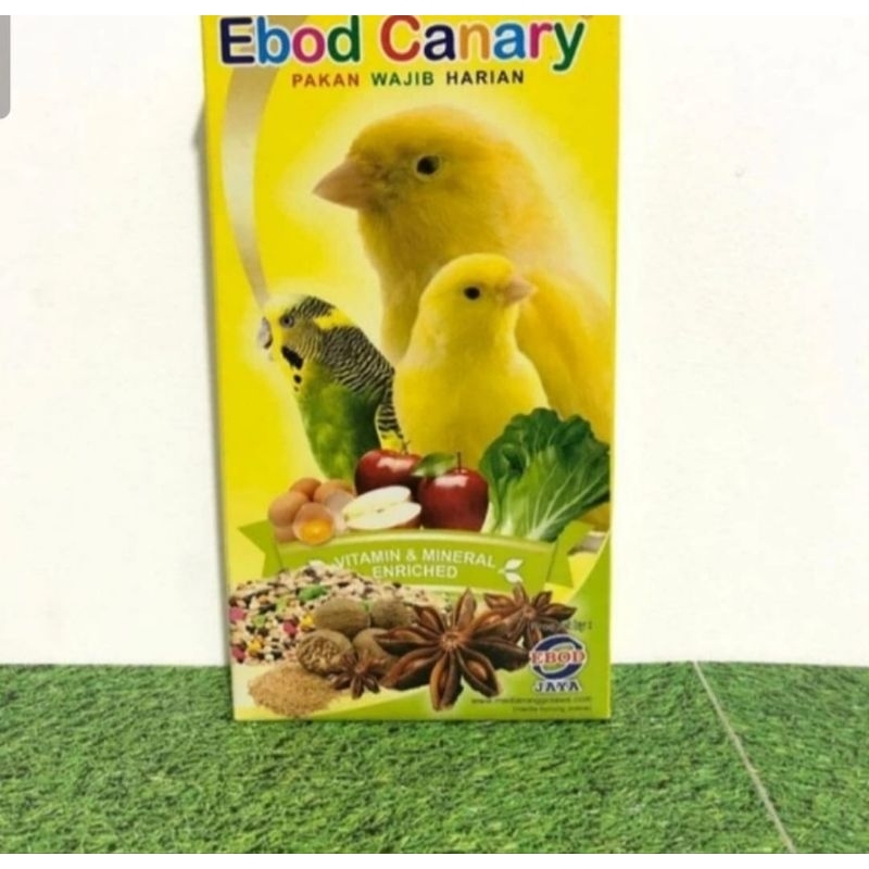 Ebod canary dus pakan burung Ebod canari kotak
