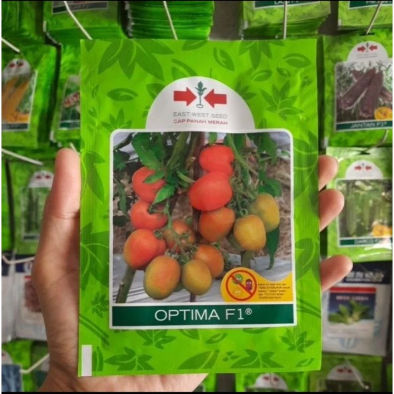 Benih Biji Bibit Tomat Dataran Tinggi OPTIMA 5 gram