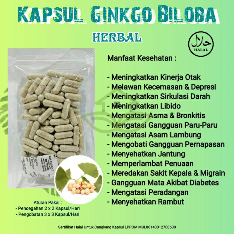 GINKGO BILOBA / Ginkgo Biloba Herbal Kinerja Otak isi 50 Kapsul