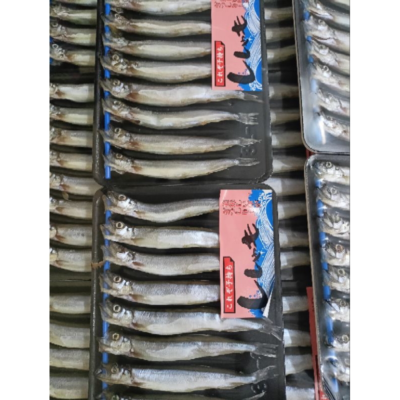 

Ikan shishamo capelin