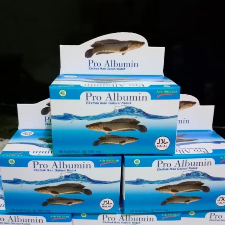 Fresh ProducttT4f kapsul ikan gabuskutukalbumin