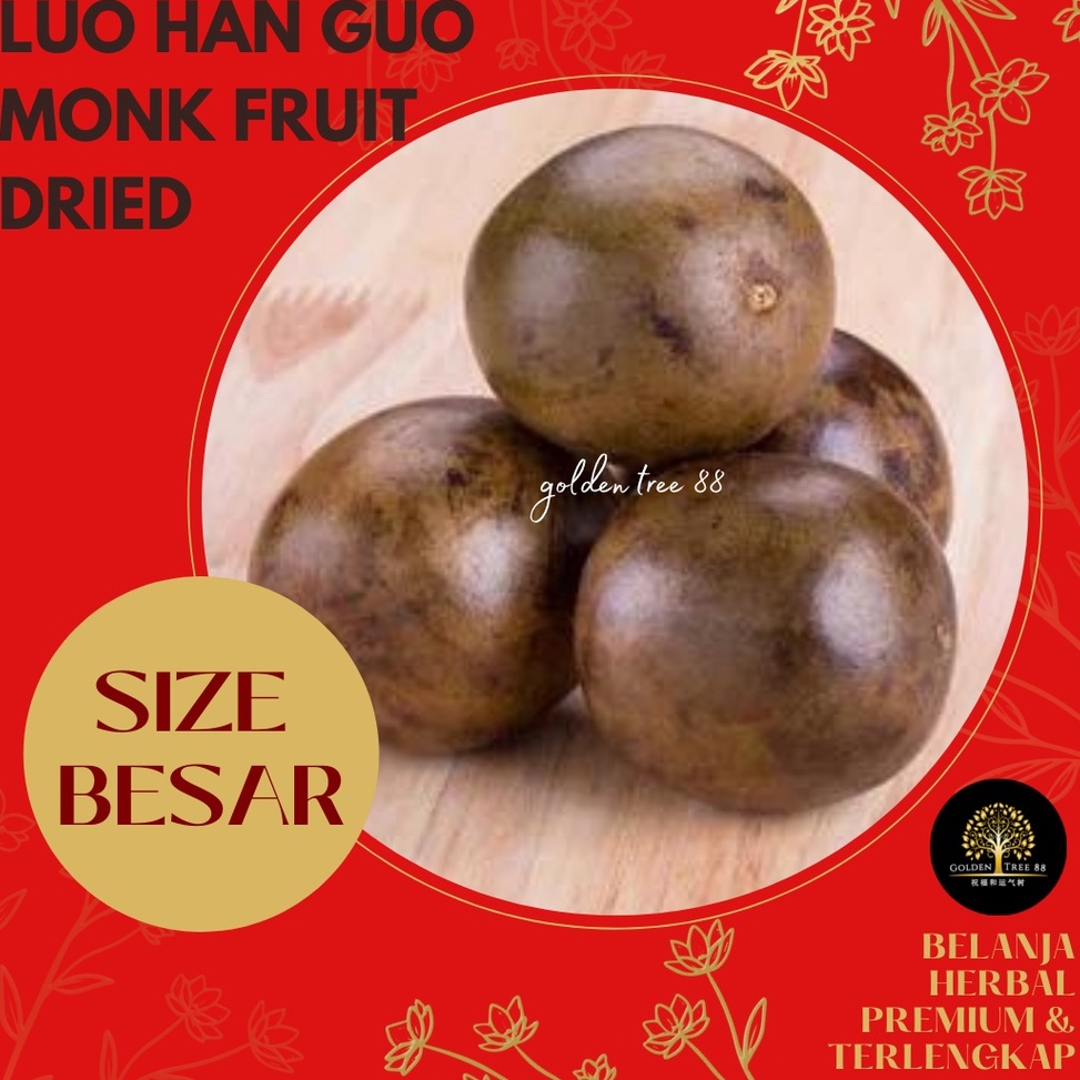 

GROSIR MURAH Premium Buah Lo Han Kuo Lo Han Guo Asli Tiongkok Fresh Original Ukuran Besar dan Jumbo