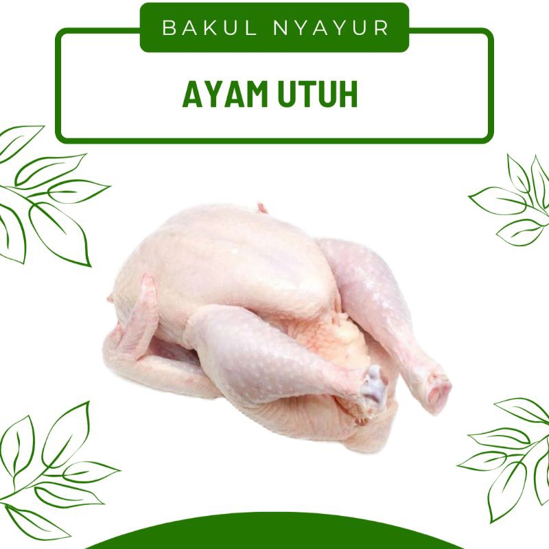 

Ayam Utuh 800gr - 1000gr