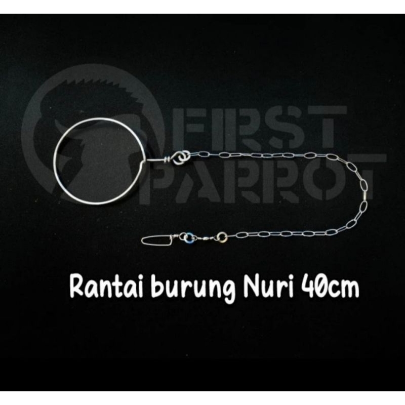 Rantai Burung Nuri dll