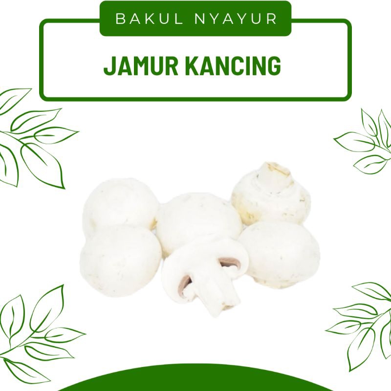 

Jamur Kancing PerPack