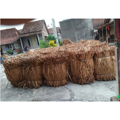 

eceng gondok kering 100 biji